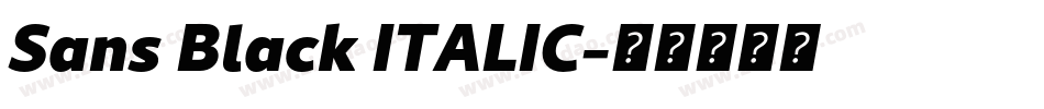 Sans Black ITALIC字体转换